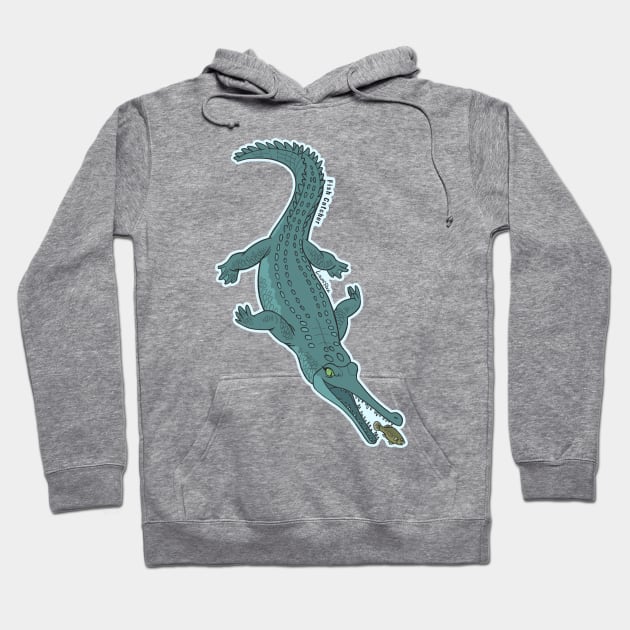 Fish Catcher - EN - Gharial Hoodie by LaumiRez